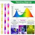 LED -Pflanze wachsen Licht